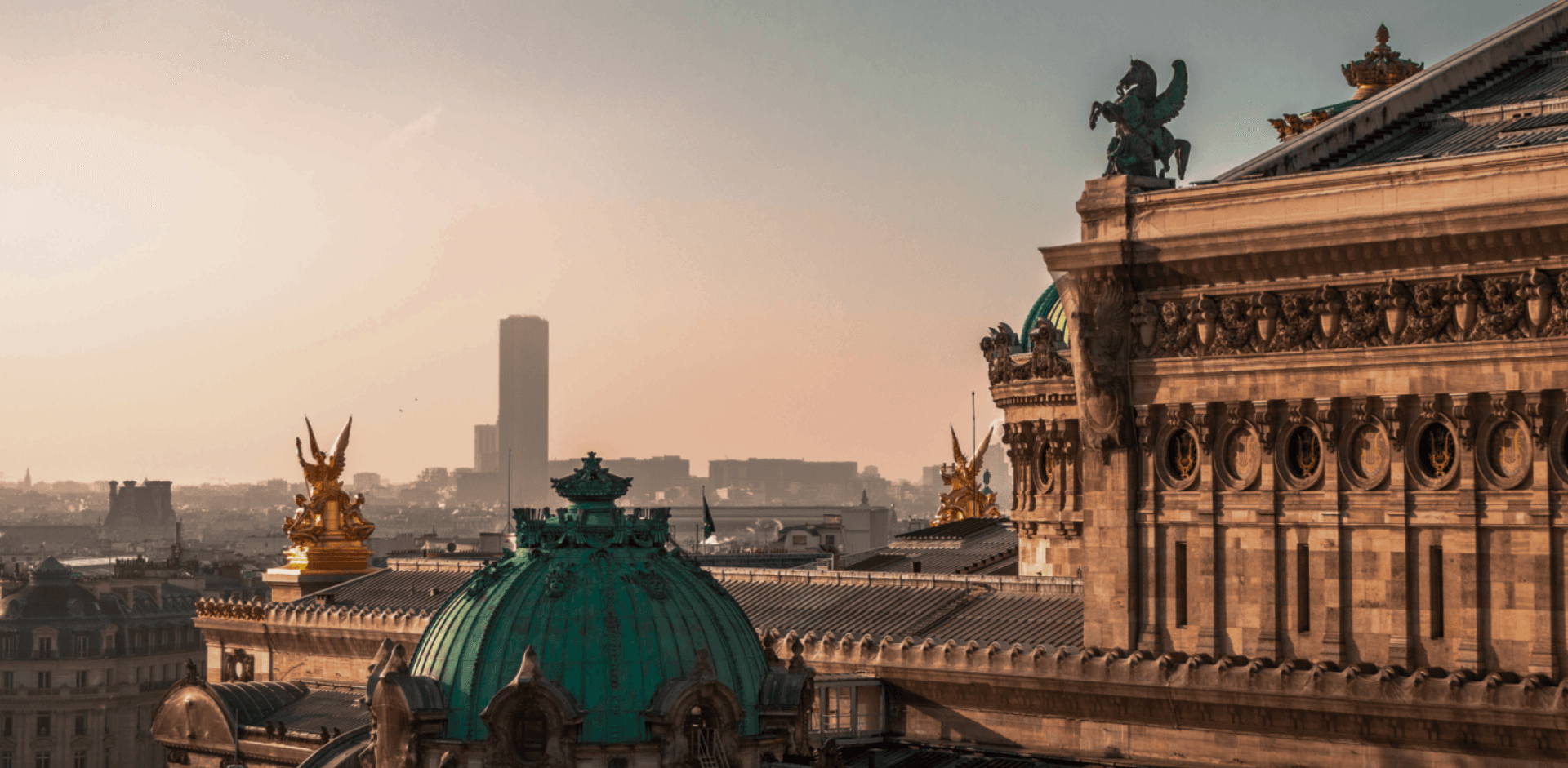 Conseil des Maisons de Ventes