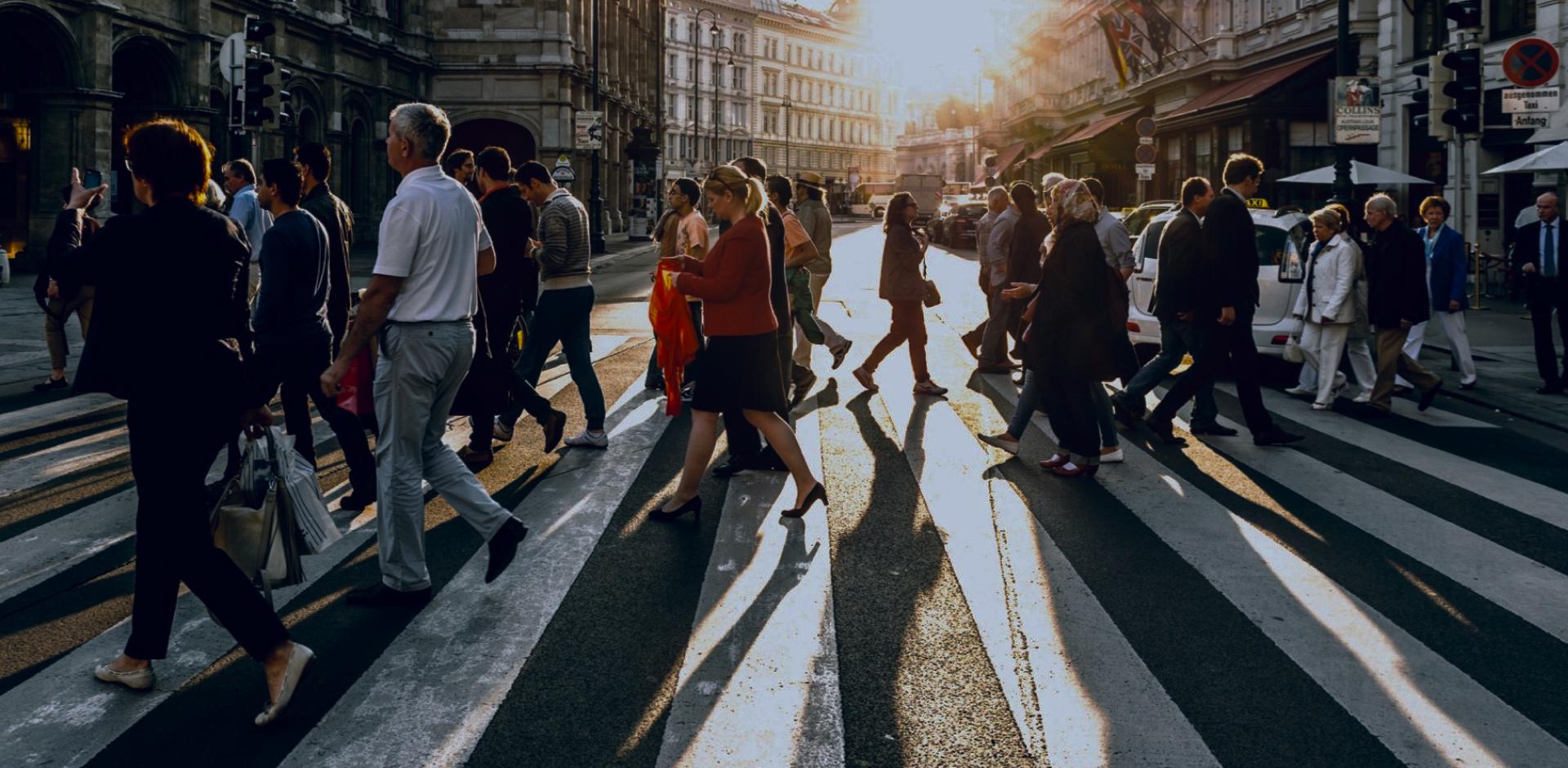 Fondation Maison des Sciences de l'Homme