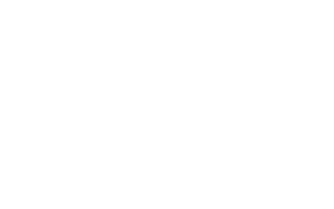 logo promeo/AFPMI
