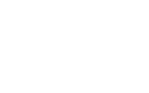 Logo Saelen
