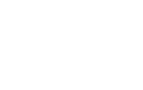 logo fmsh
