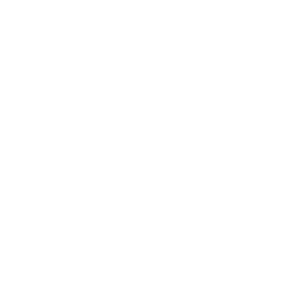 logo anap