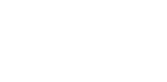 logo davidson